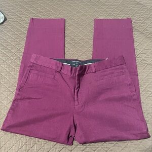 Banana republic pants purple/magenta casual business